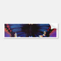 Butterfly Painting Art - Multi Bumper Stickers