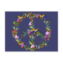 Butterfly Peace Symbol postcards