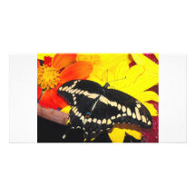 Butterfly Personalized Photo Card