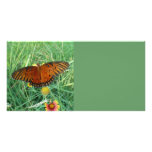 Butterfly Photo Card photo cards
