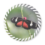 Butterfly Photo Design Round Magnet