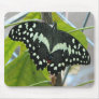 Butterfly Photo Mouse Pad