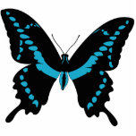 Butterfly Photo Sculpture