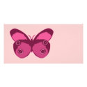 Butterfly Pinks photo cards