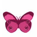 Butterfly Pinks t-shirts
