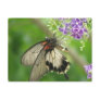 Butterfly Pollinating Postcard