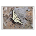 Butterfly Portrait cards