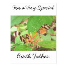 Butterfly Post Cards