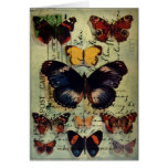 Butterfly Postcard