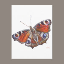 Butterfly postcards