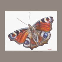 Butterfly postcards