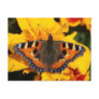 Butterfly Postcard
