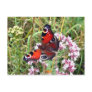 Butterfly Postcard