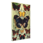 Butterfly Postcard canvas prints