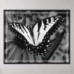 Butterfly Poster posters