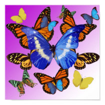 Butterfly posters