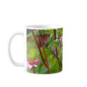 Butterfly Purple Coneflower mugs