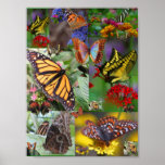 BUTTERFLY QUILT! Framed print