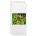 Butterfly rack cards