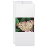 Butterfly rack cards