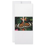 Butterfly rack cards