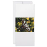 Butterfly rack cards