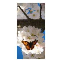 Butterfly Sakura Customized Photo Card