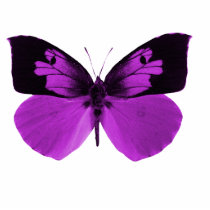 butterfly sculptured key chain acrylic cut outs