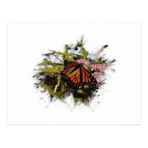 Butterfly Splat Post Card