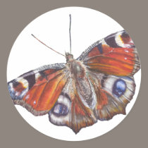 Butterfly stickers