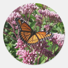 Butterfly Sticker