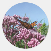 Butterfly Sticker