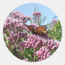 Butterfly Sticker