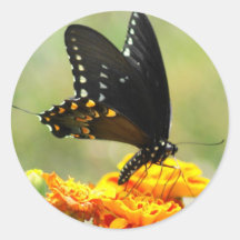 Butterfly Stickers