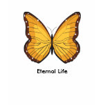 Butterfly, symbol of eternal life t-shirts