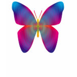 Butterfly top t-shirts