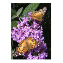 Butterfly Twins ~ ATC business cards