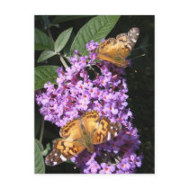 Butterfly Twins ~ postcard