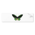 Butterfly unique design! bumper stickers