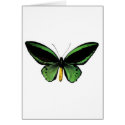 Butterfly unique design! cards