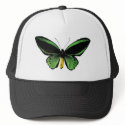 Butterfly unique design! hats
