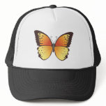 Butterfly: Vector Illustration: hats
