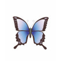 Butterfly: Vector Illustration: t-shirts