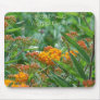 Butterfly Weed Mouse Pad