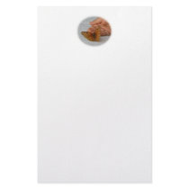 Butterfly Whisperer Stationery