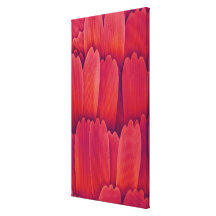 Butterfly Wing Scales Stretched Canvas Prints