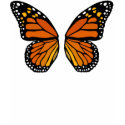 Butterfly Wings Girls T-shirt Cute Butterfly Tee