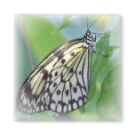 Butterfly Wings Square Magnet