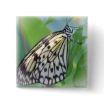 Butterfly Wings Square Pin buttons