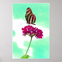 Butterfly Wisdom - Lesson 2
